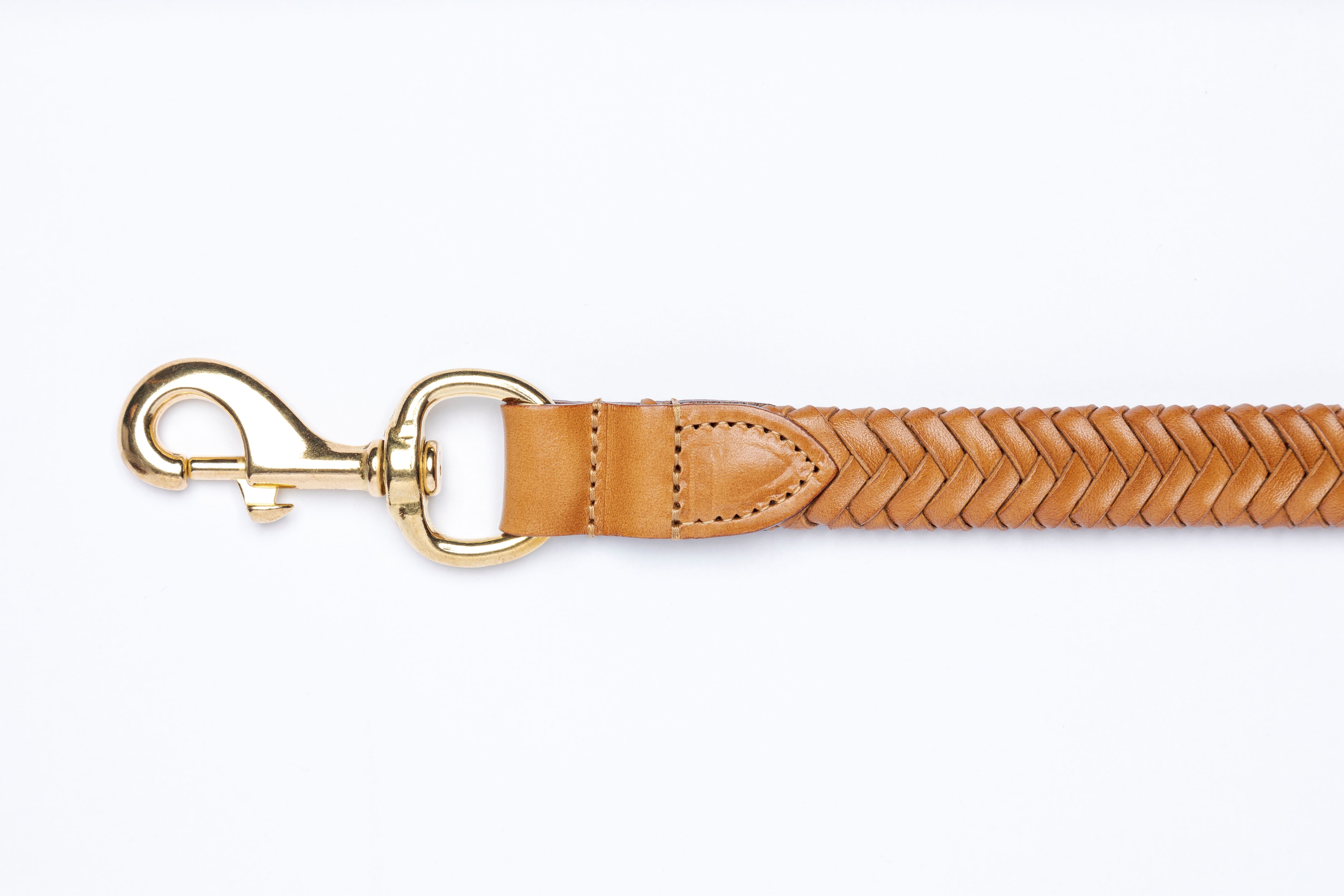 Plaited Dog Lead