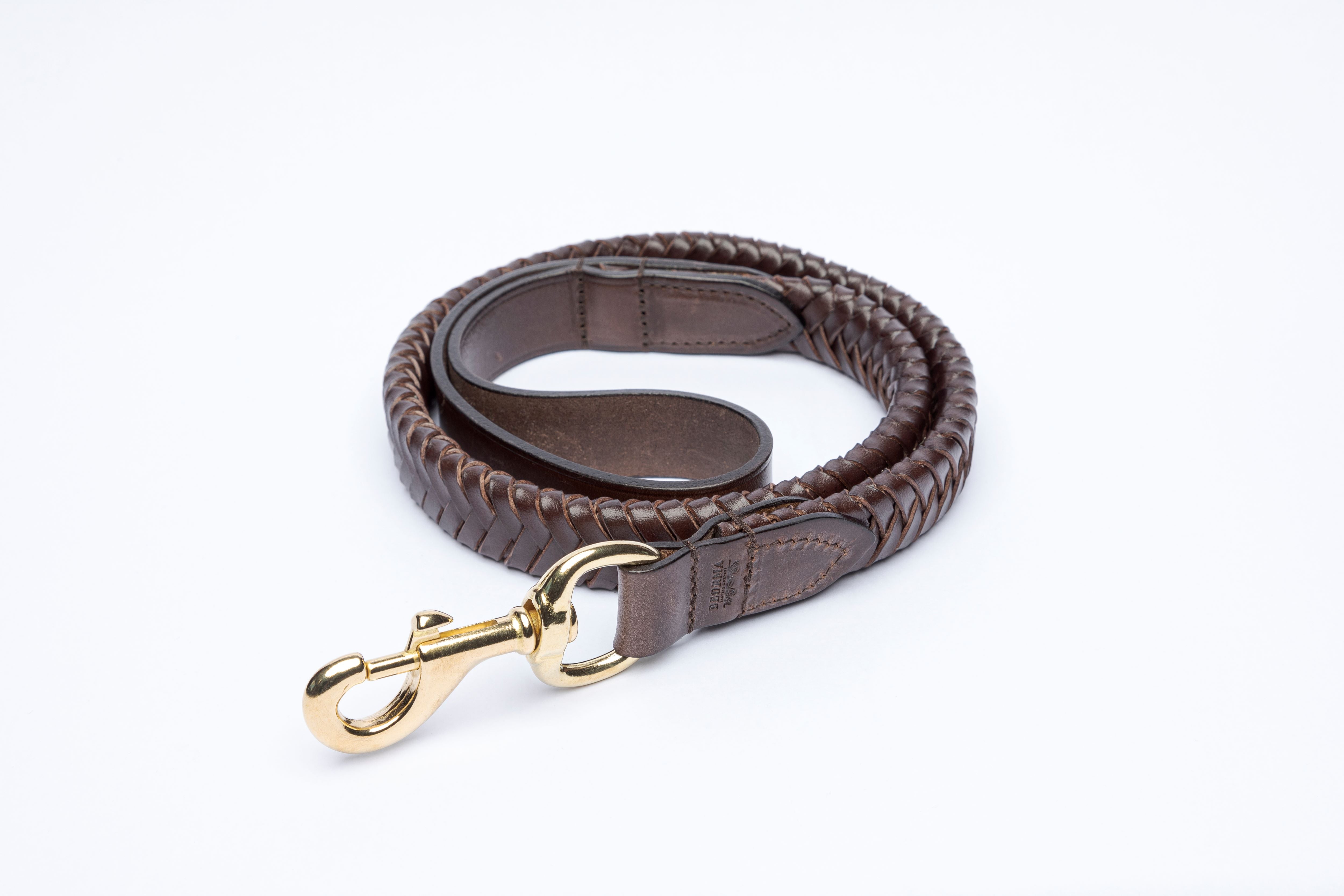 Plaited Dog Lead