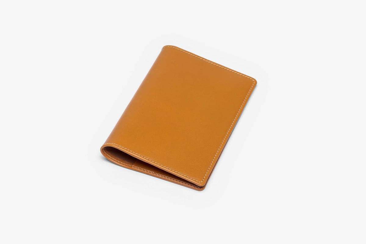 Passport Holder in Newton Tan
