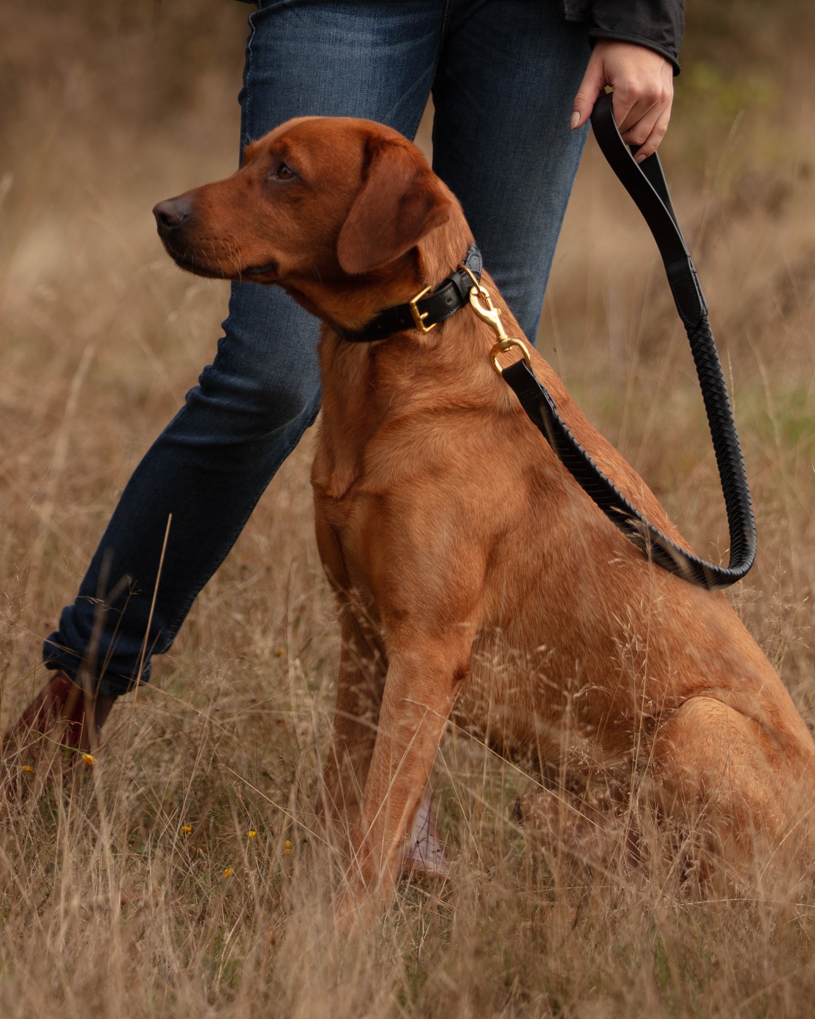 Plaited dog lead best sale