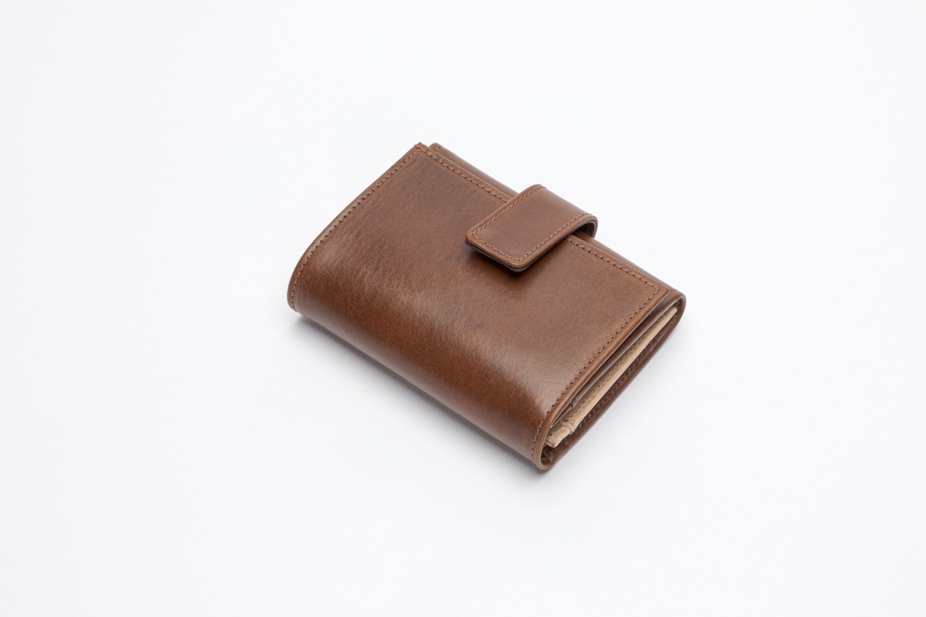 The Albany Vintage Leather Purse